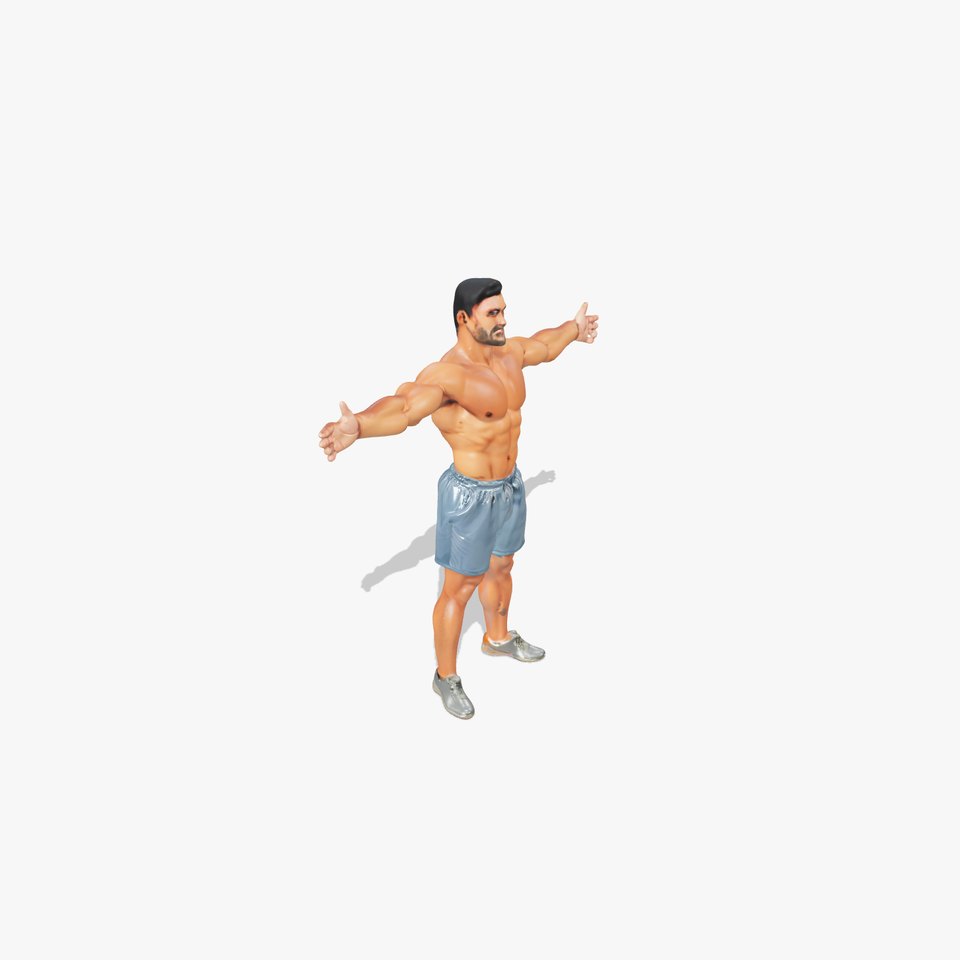 Athletic Male Figure Model Pack with Detailed Anatomy